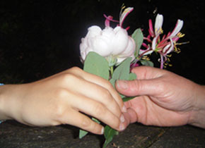 Photo mains et fleurs